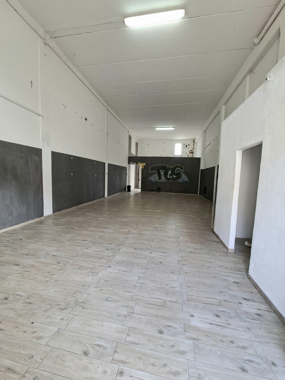 Capannone con giardino in via dell'industria, Follonica