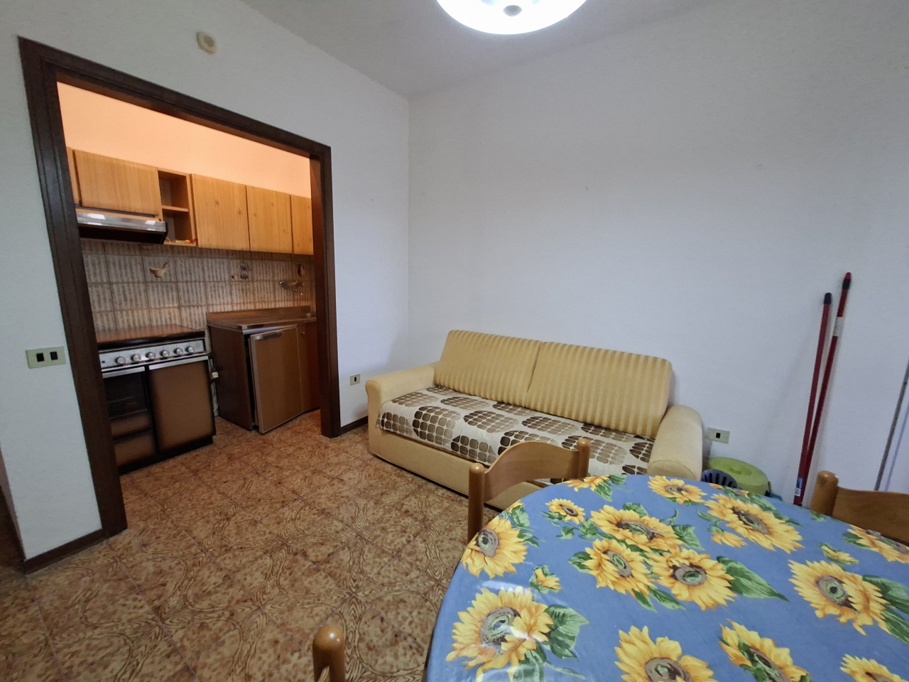 Bilocale con terrazzo in via dei pini, Follonica