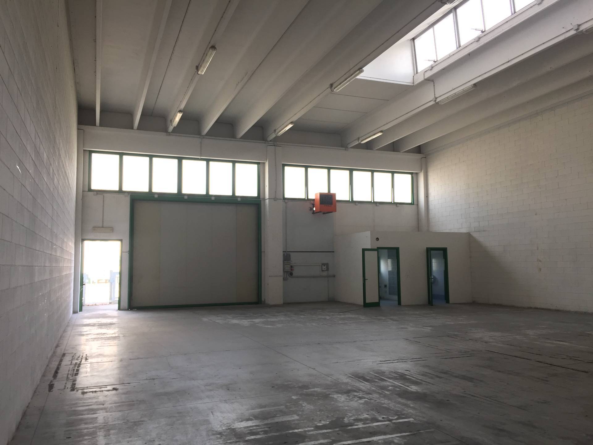 Capannone in affitto a Carbonera