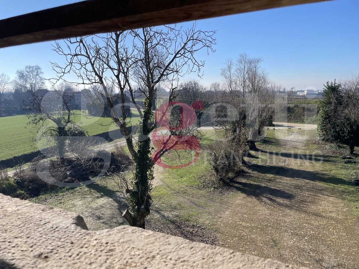 Rustico con giardino a Baone