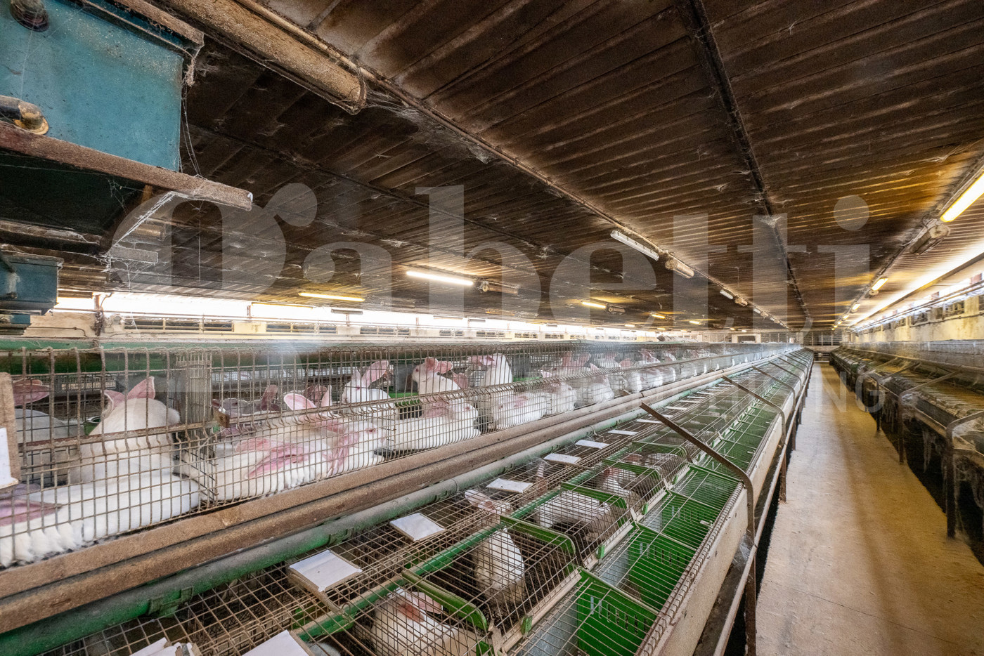 Capannone in vendita a Este