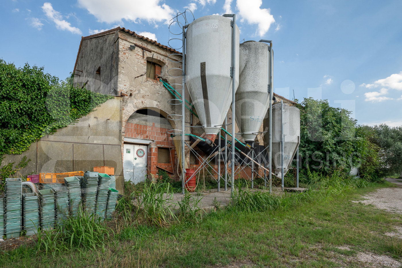 immagine annuncio 4 di 10