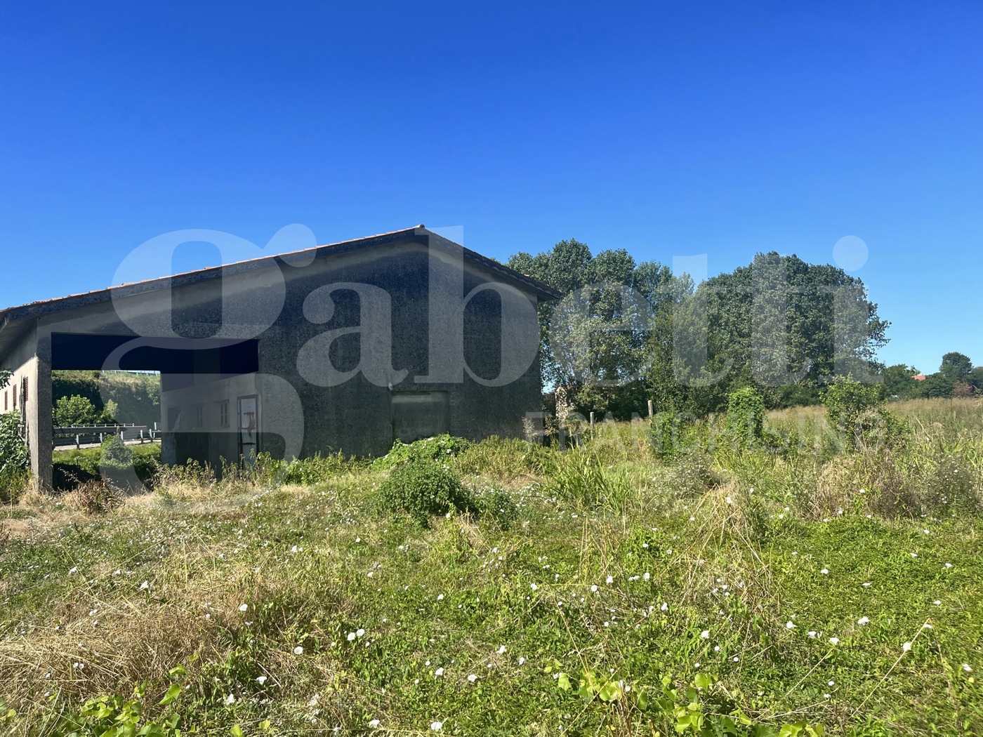 Casa indipendente con giardino a Este