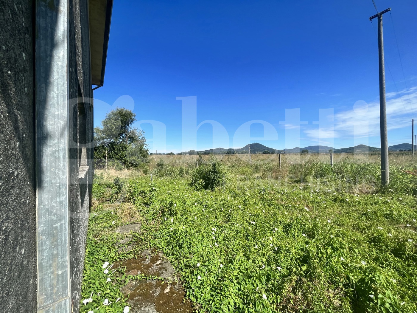 Casa indipendente con giardino a Este