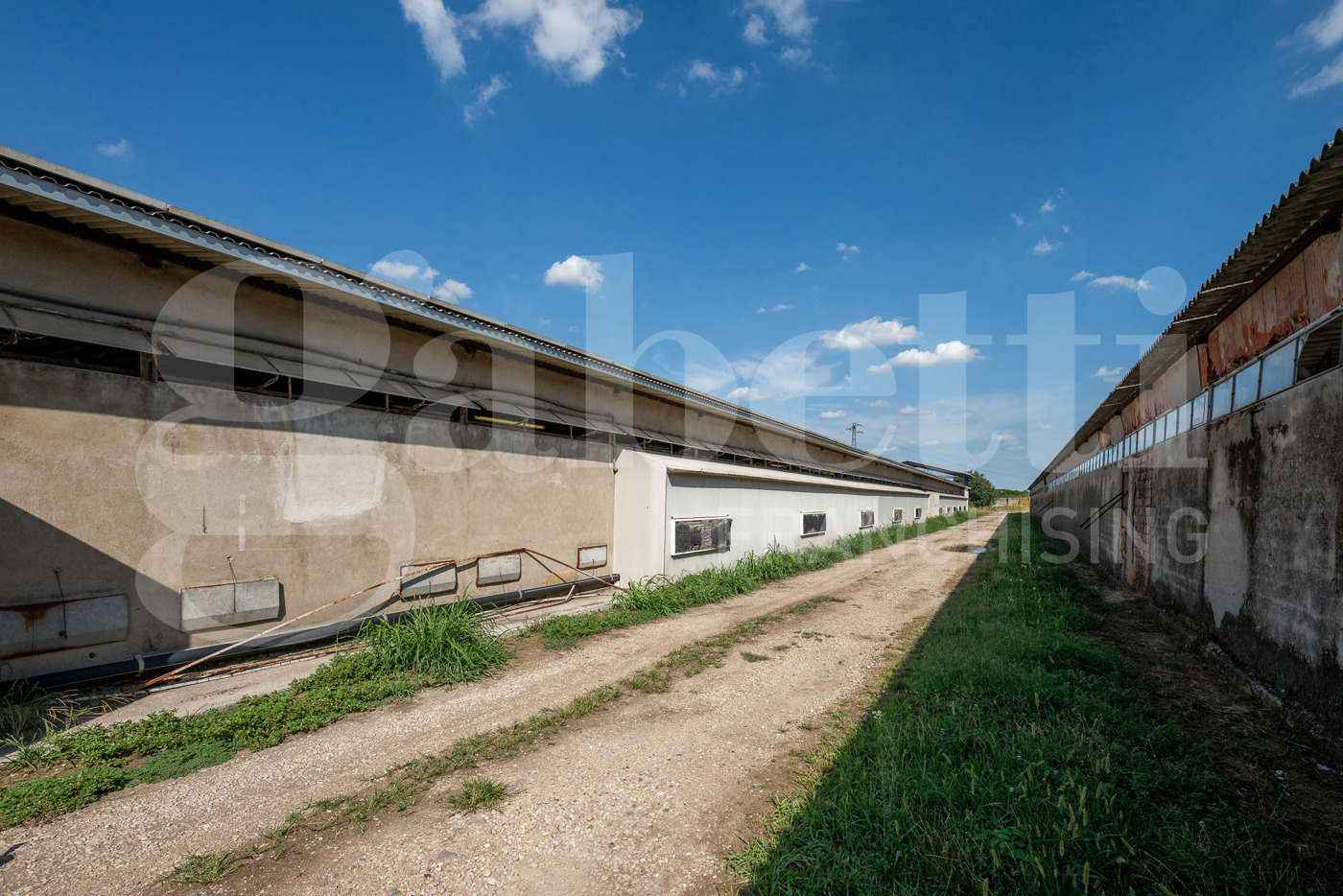 Capannone in vendita a Este