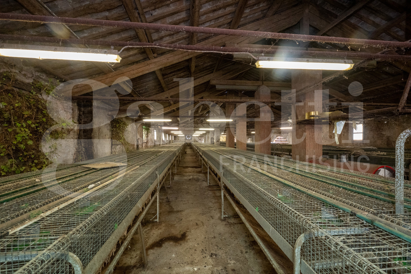 immagine annuncio 6 di 10