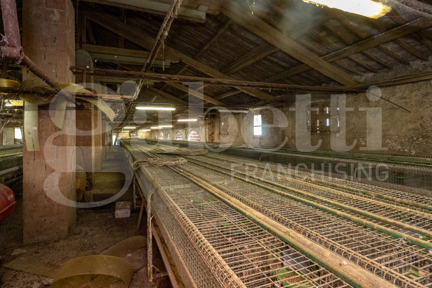 immagine annuncio 8 di 10