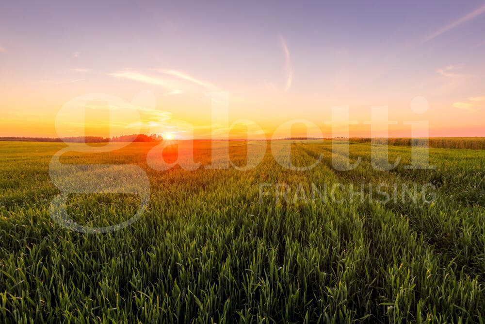 Terreno Agricolo in vendita a Pozzonovo