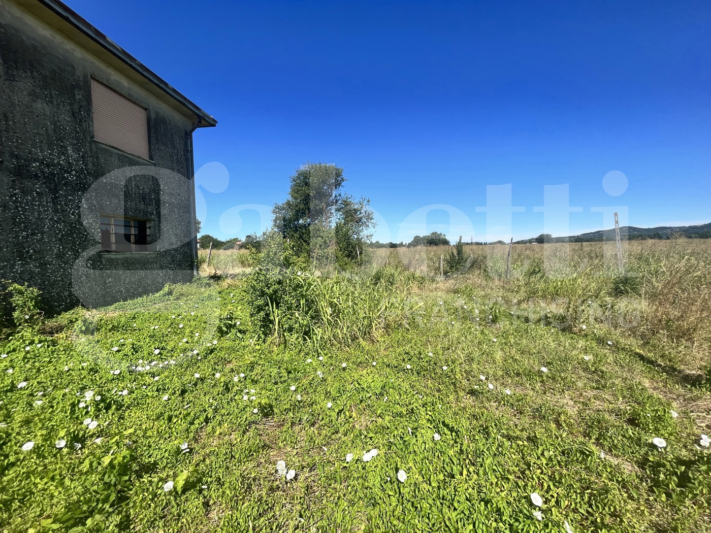 Casa indipendente con giardino a Este