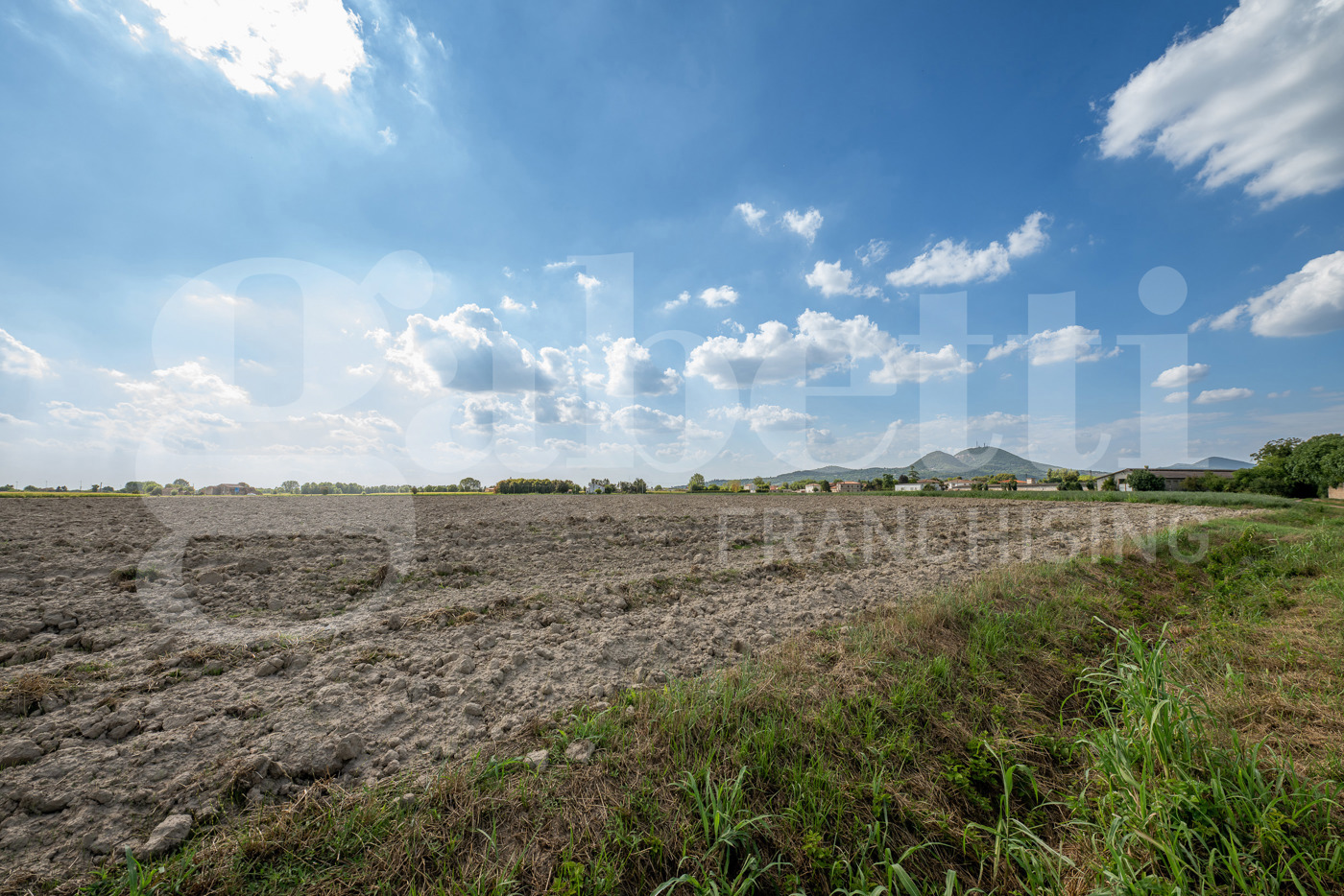 Terreno Agricolo in vendita a Este
