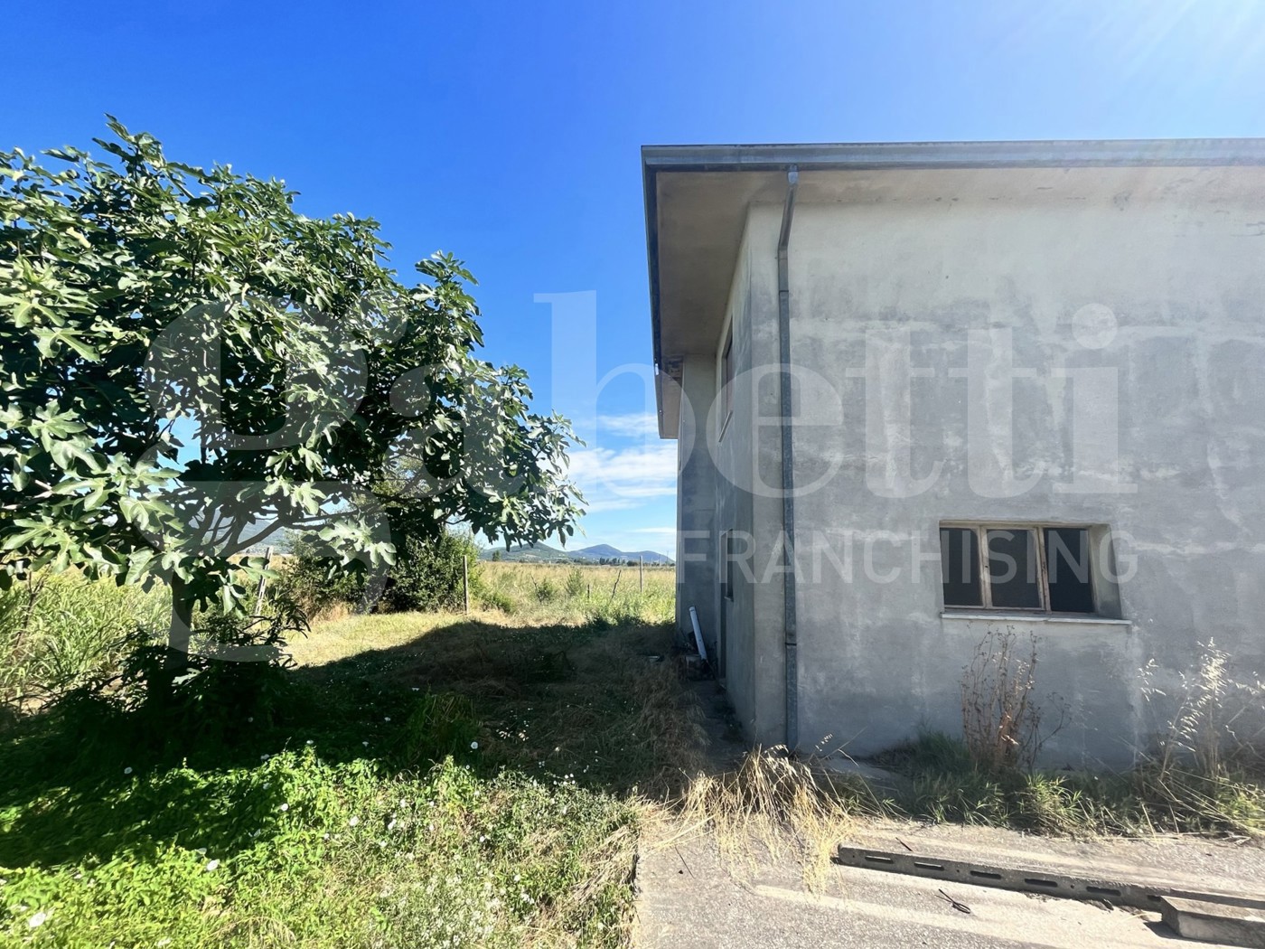Casa indipendente con giardino a Este