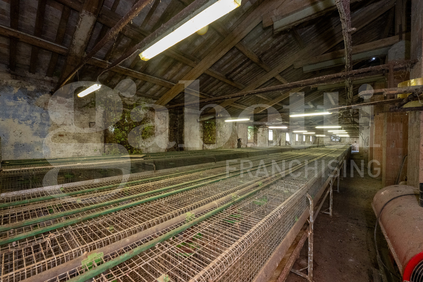 Capannone in vendita a Este