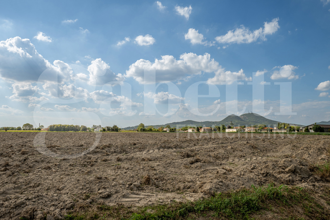 Terreno Agricolo in vendita a Este