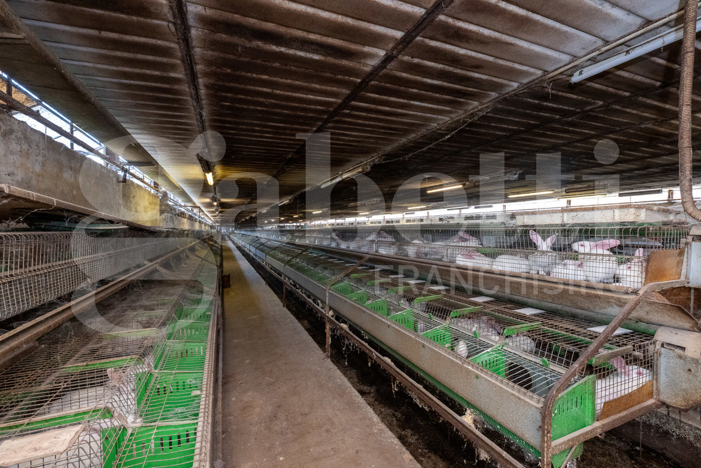 Capannone in vendita a Este