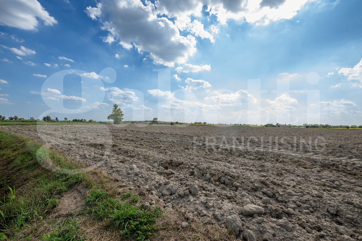 Terreno Agricolo in vendita a Este