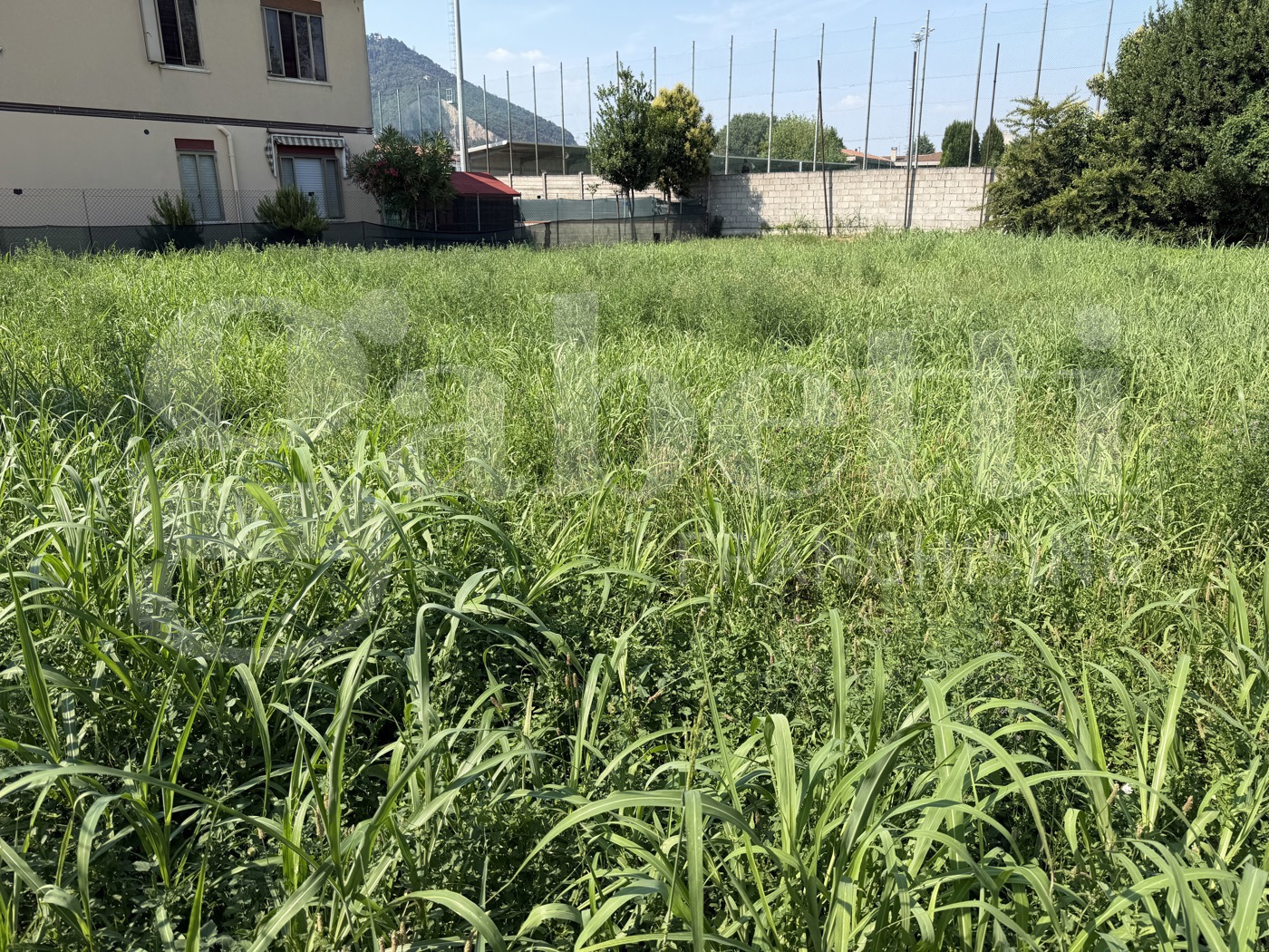 Terreno Edificabile in vendita a Monselice