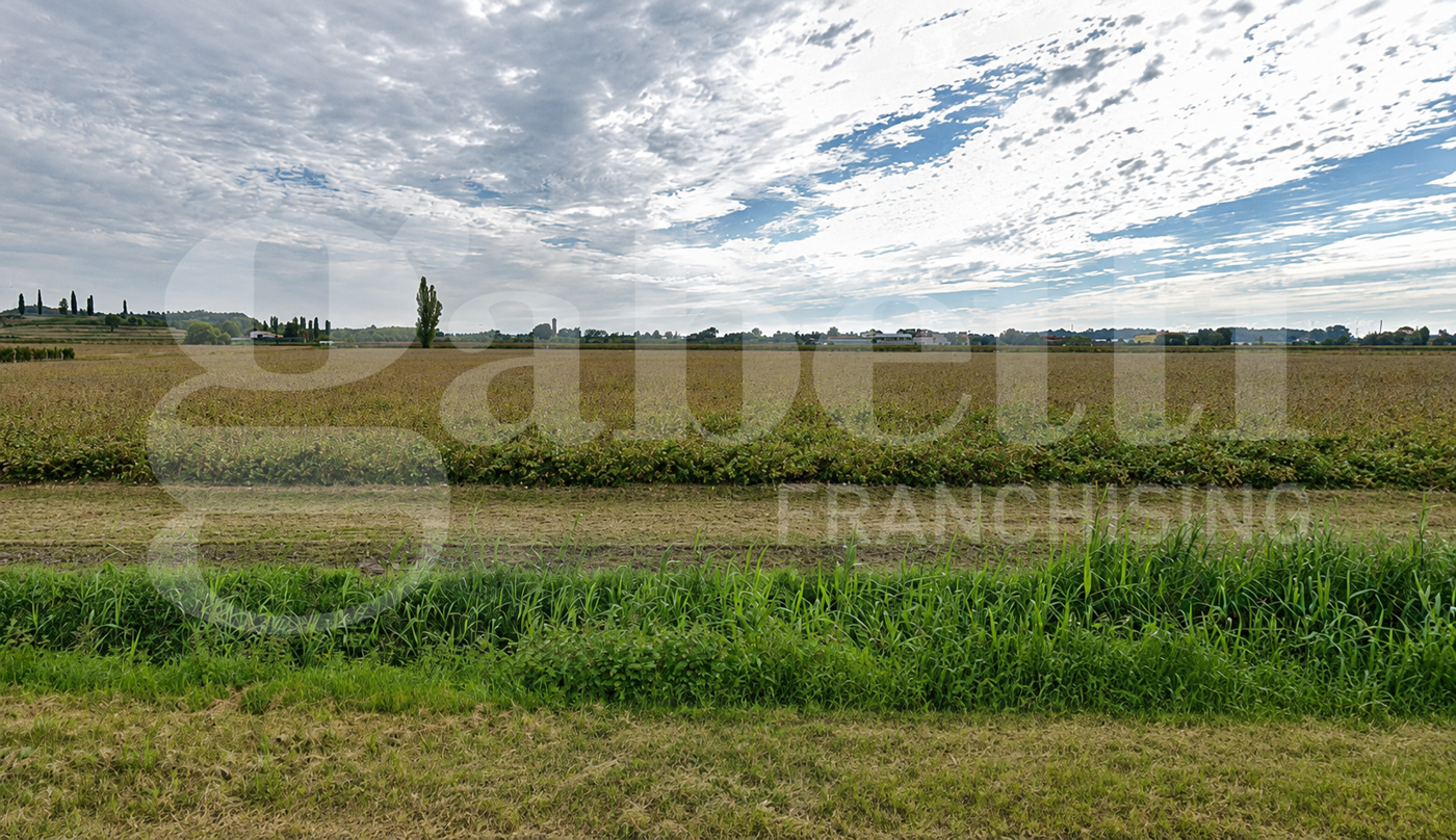 Terreno Agricolo in vendita a Monselice