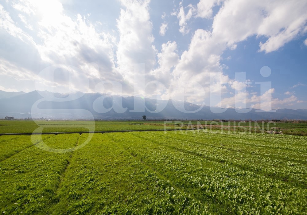 Terreno Agricolo in vendita a Monselice