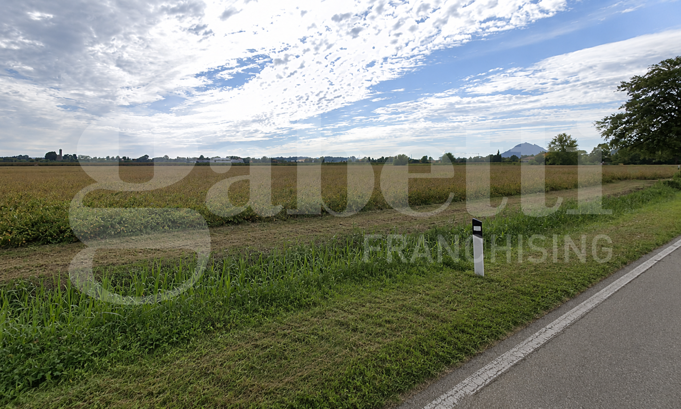 Terreno Agricolo in vendita a Monselice