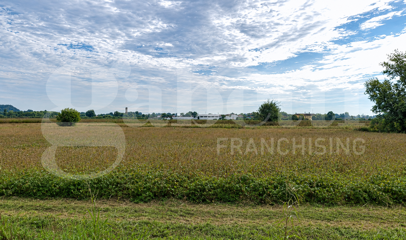 Terreno Agricolo in vendita a Monselice