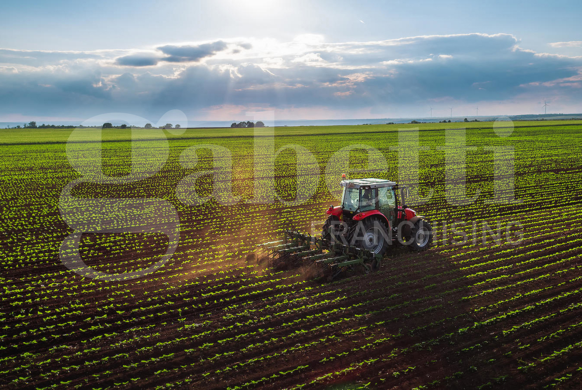 Terreno Agricolo in vendita a Monselice