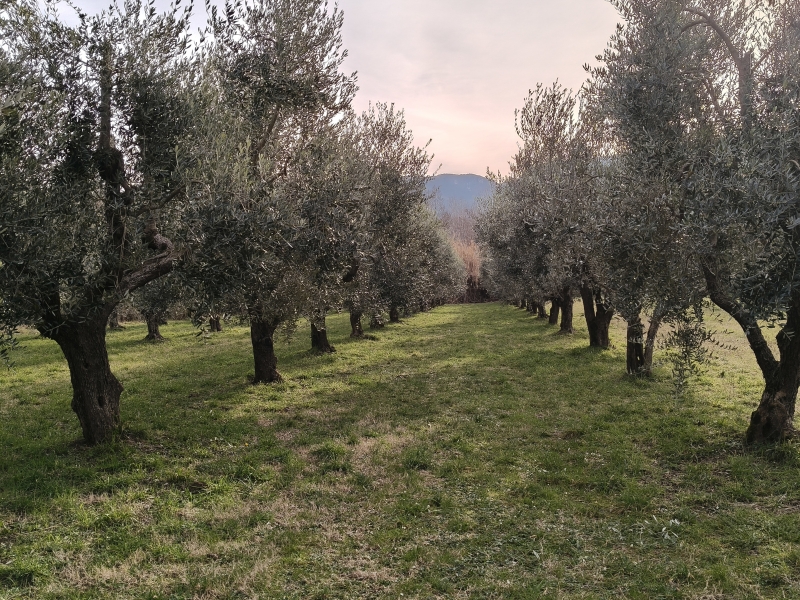 Terreno in vendita a Montaquila