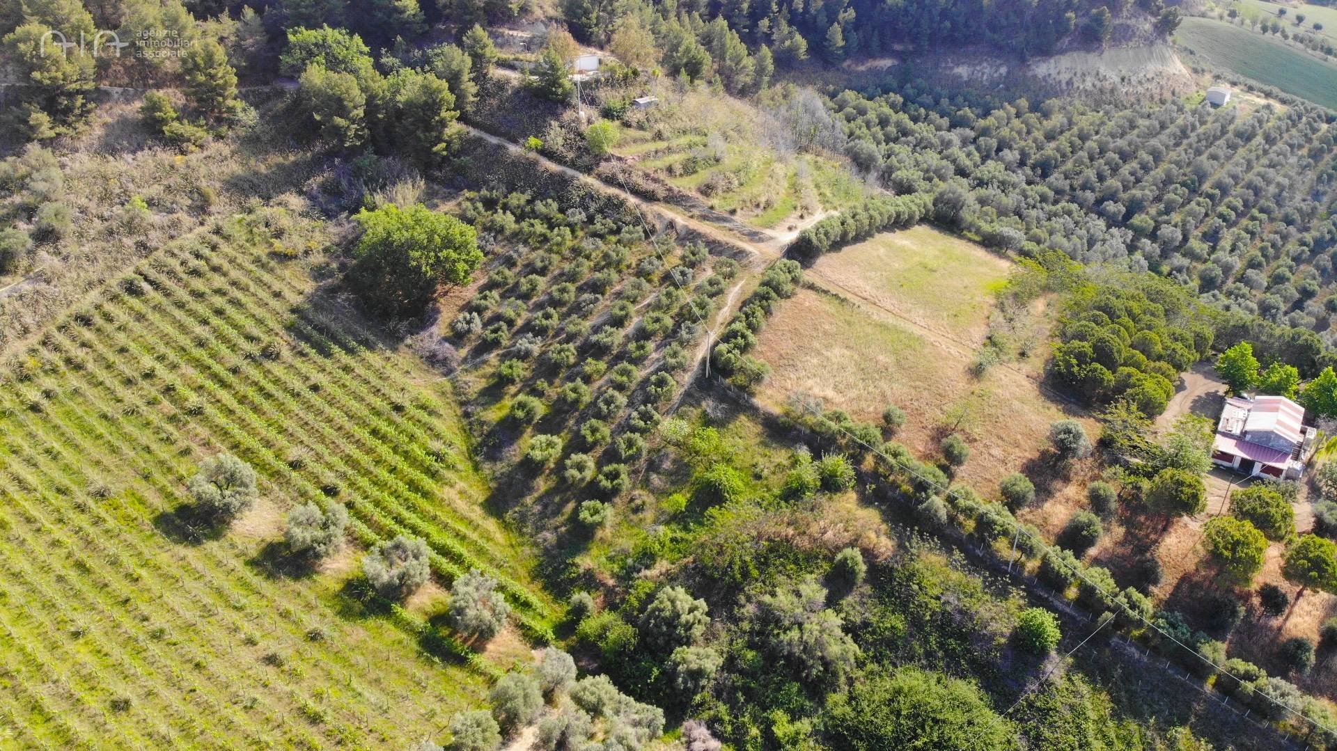 Terreno in vendita, San Benedetto del Tronto collinare (zona di campagna interna)