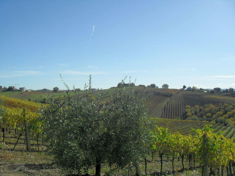 immagine annuncio 4 di 6