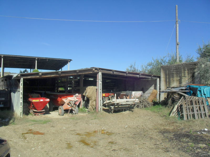 immagine annuncio 5 di 6