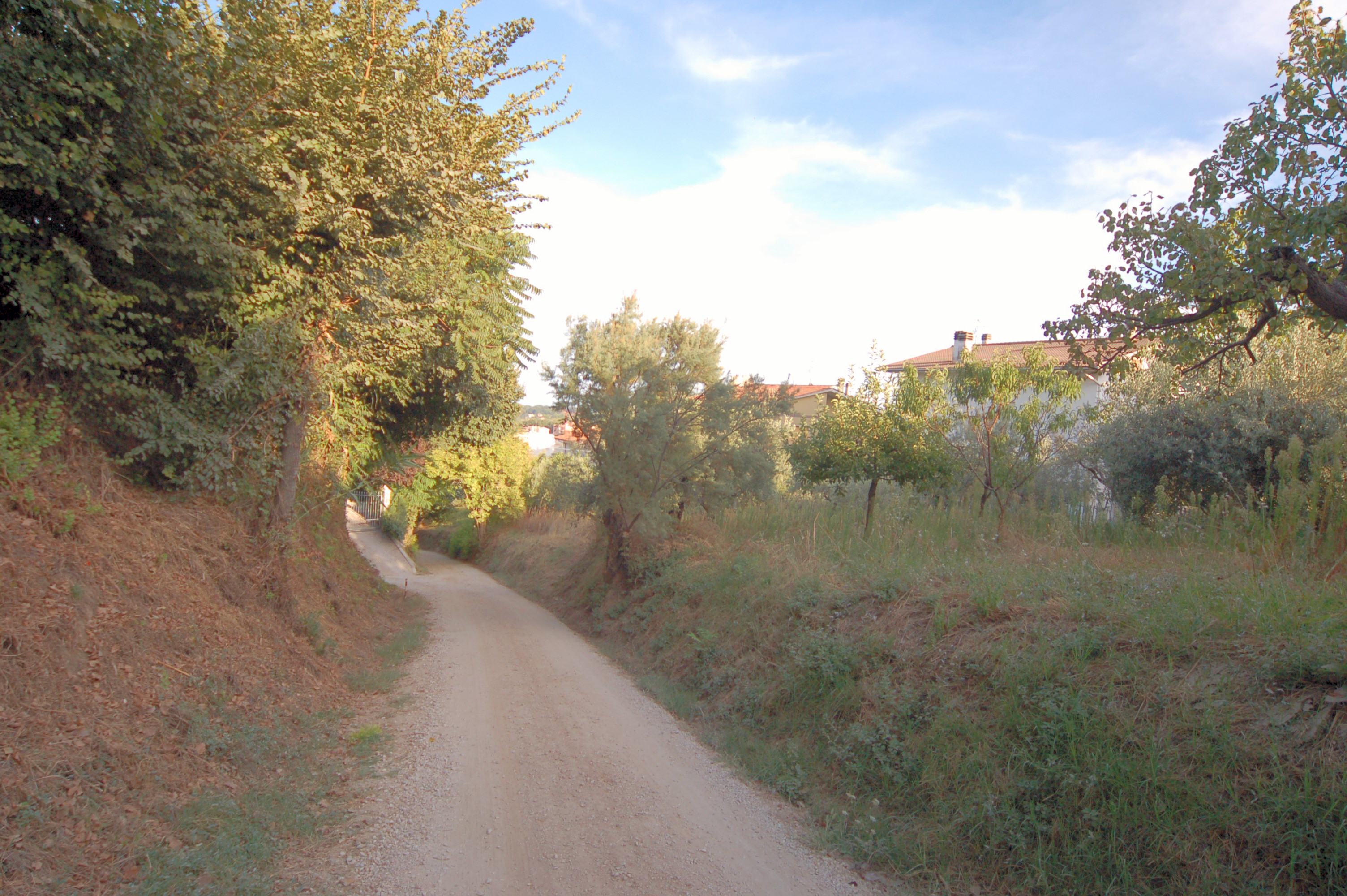 immagine annuncio 4 di 6