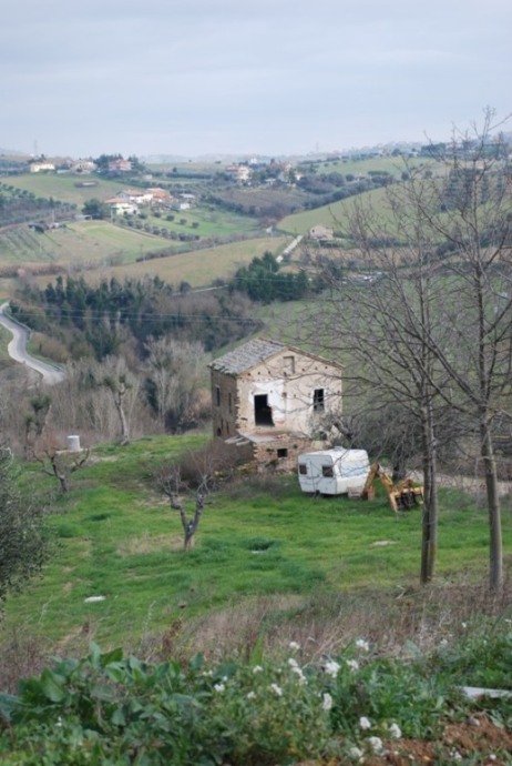 immagine annuncio 1 di 6