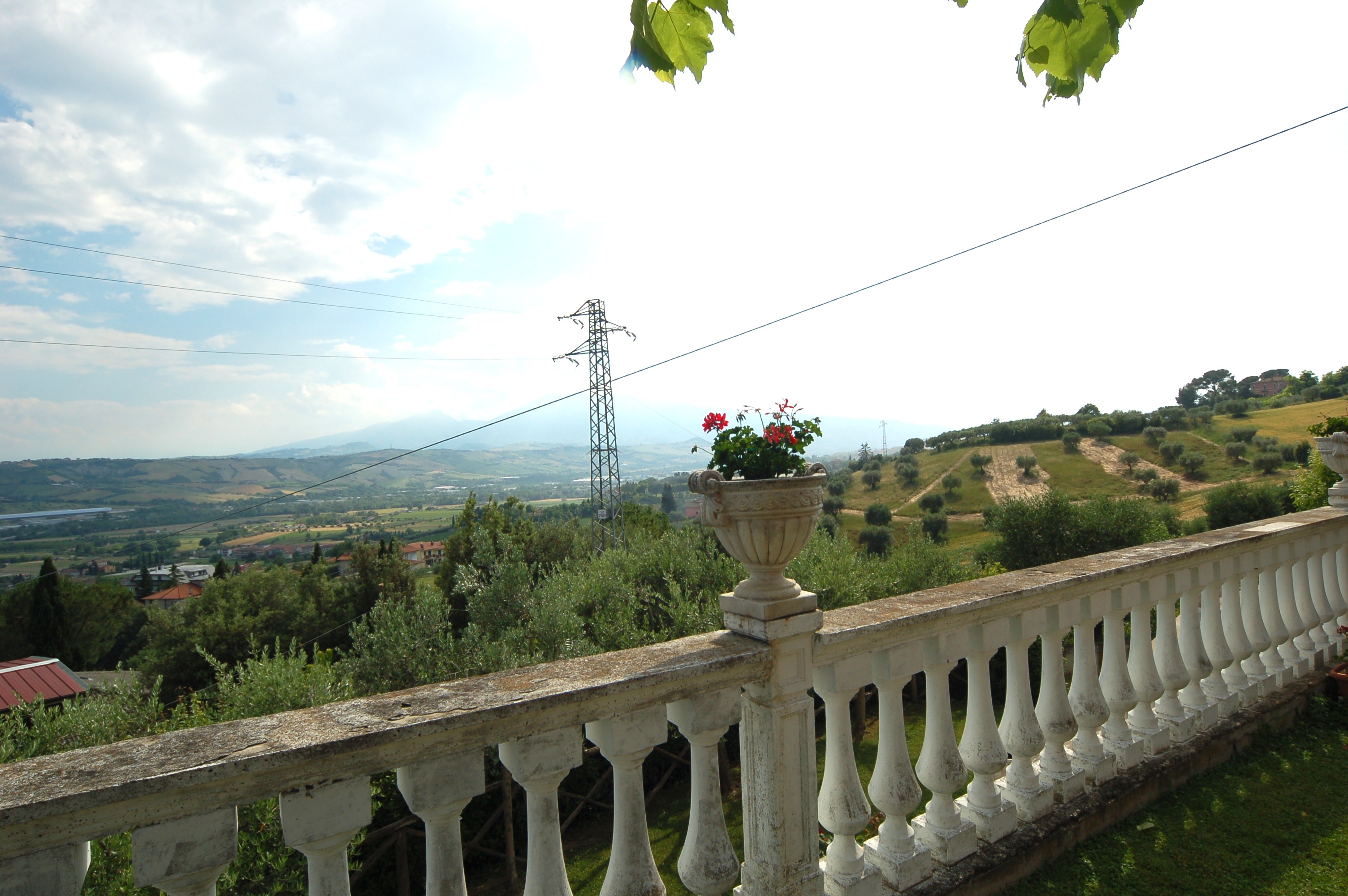 immagine annuncio 5 di 6