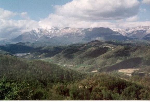 immagine annuncio 2 di 6