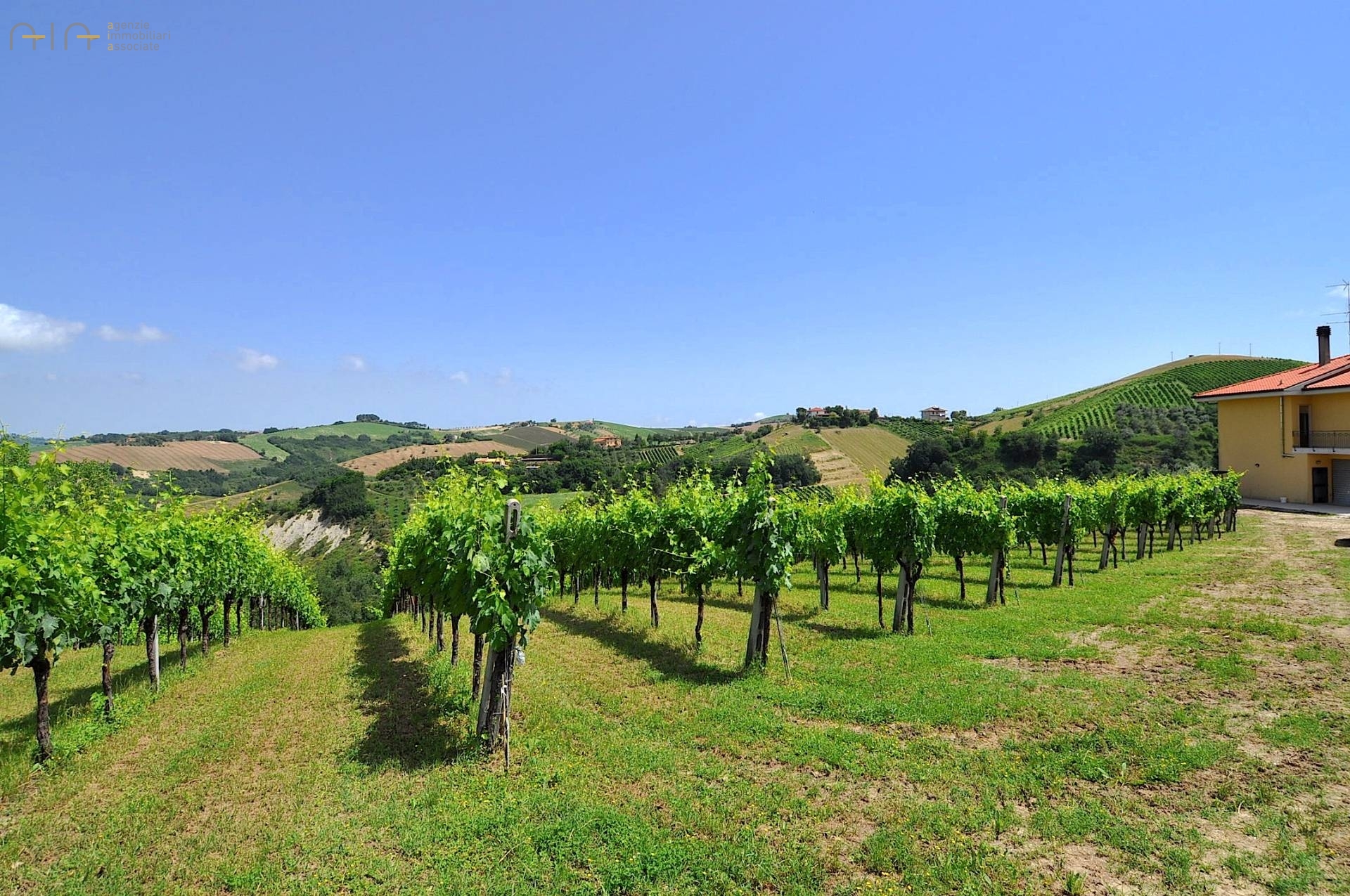 Casa cielo - terra in vendita a Cossignano, Collinare / Campagna