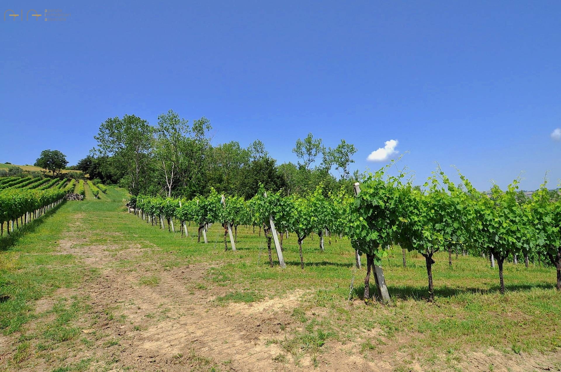 Casa cielo - terra in vendita a Cossignano, Collinare / Campagna
