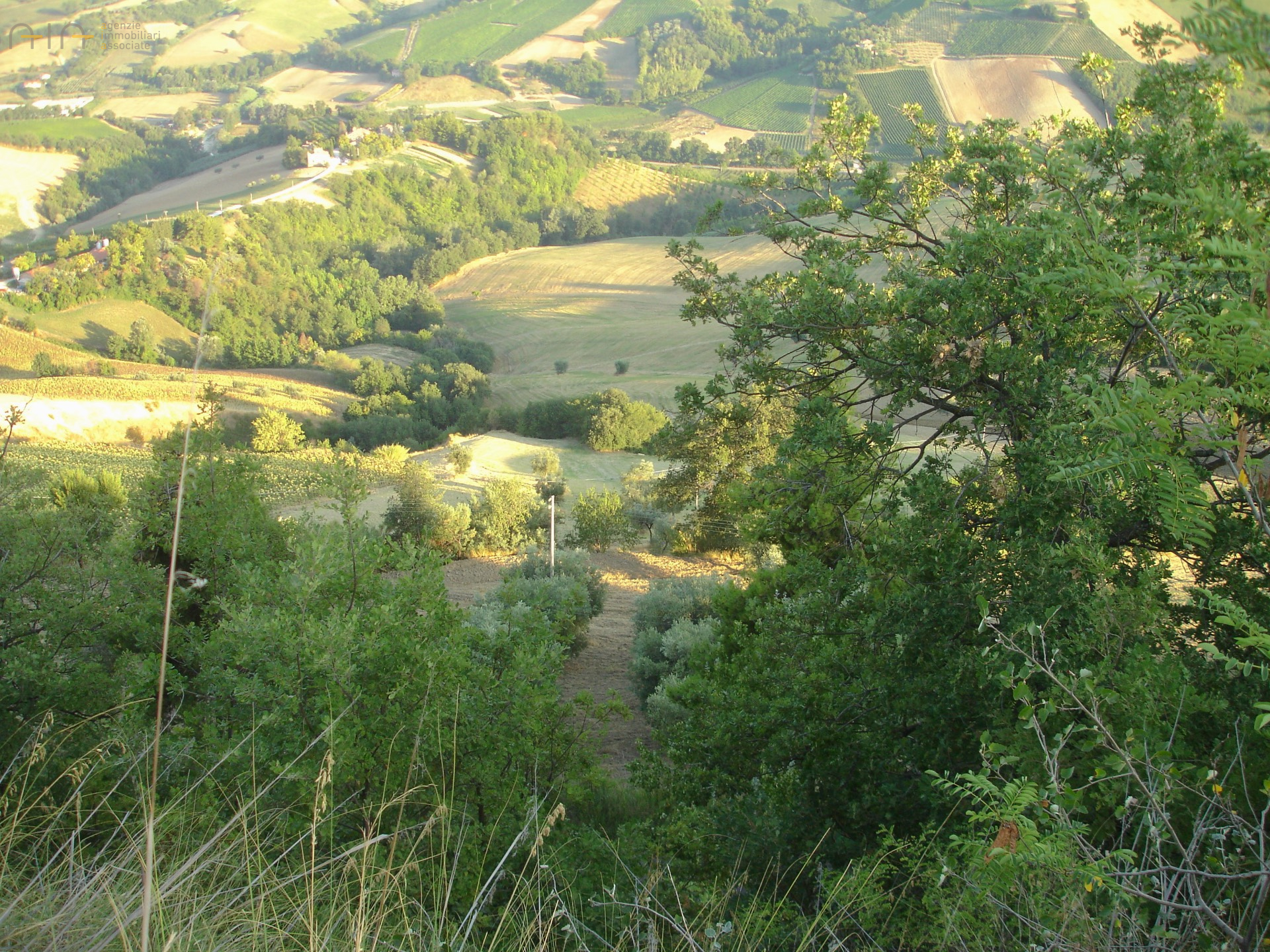 immagine annuncio 3 di 6