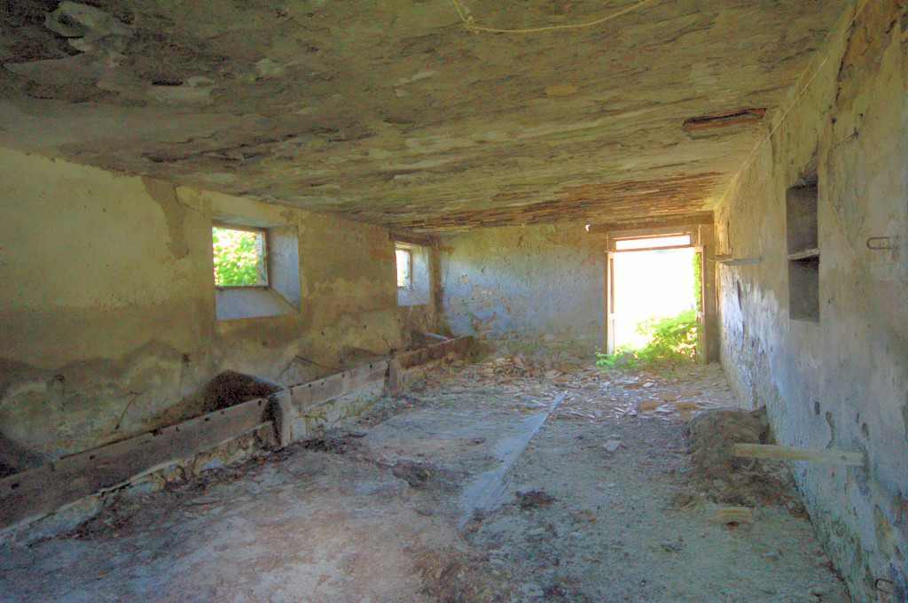 Casale Colonico Rustico in vendita a Force, Collinare