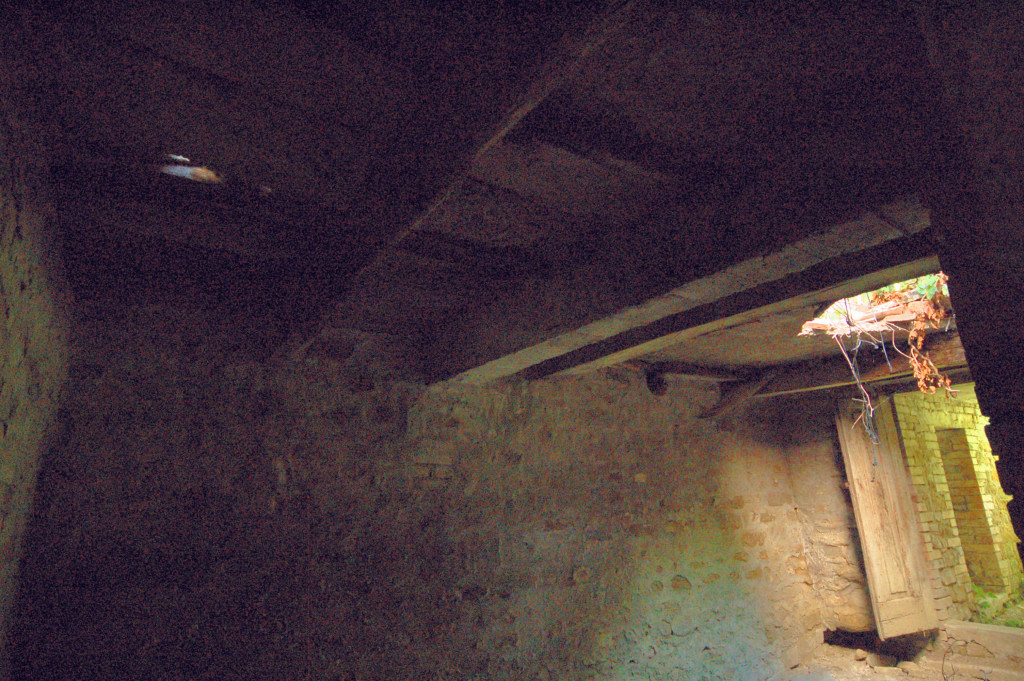 Casale Colonico Rustico in vendita a Force, Collinare