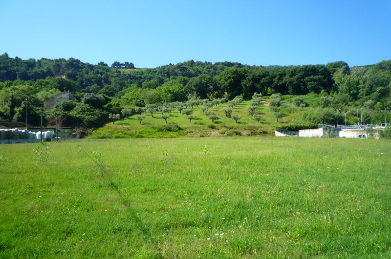 Terreno Agricolo (con / Senza Piccolo Prefabbricato) in affitto a Grottammare, Val Tesino (dall'imbo