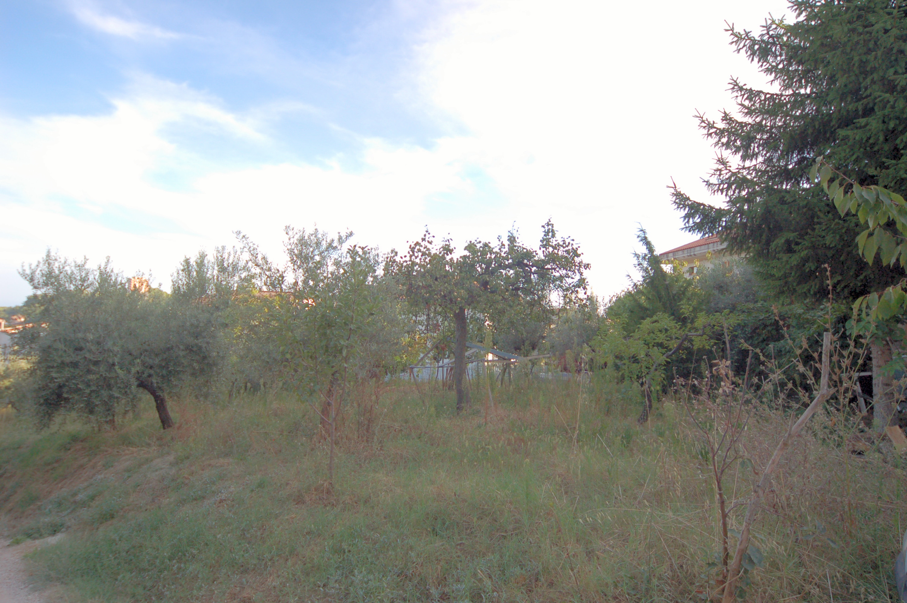 Terreno Edificabile Residenziale in vendita a Acquaviva Picena, Collinare (esposizione verso il mare