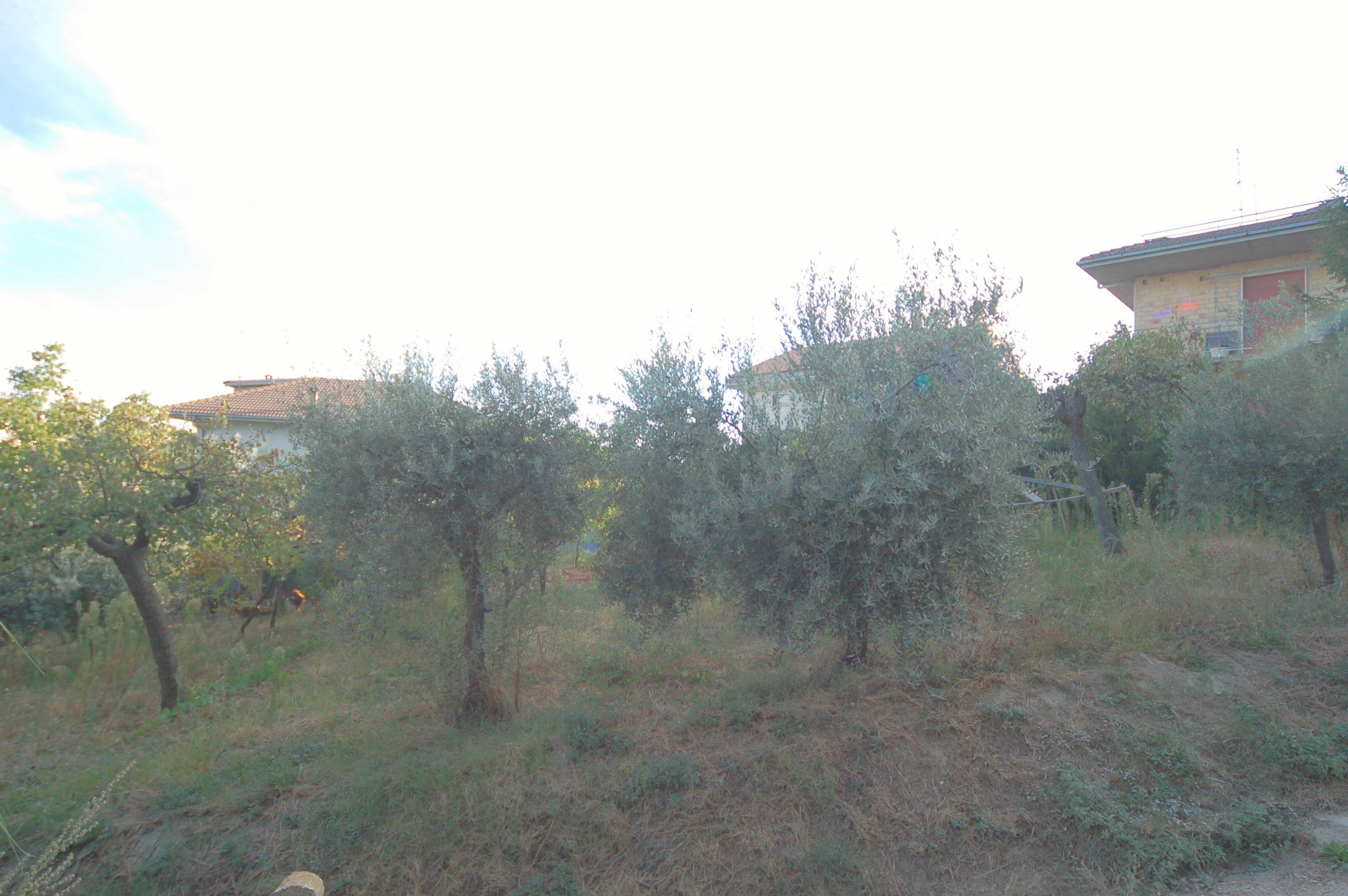 Terreno Edificabile Residenziale in vendita a Acquaviva Picena, Collinare (esposizione verso il mare