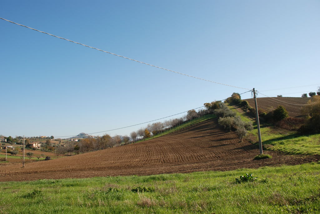 Terreno Agricolo (con / Senza Piccolo Prefabbricato) in vendita a Controguerra, Collinare