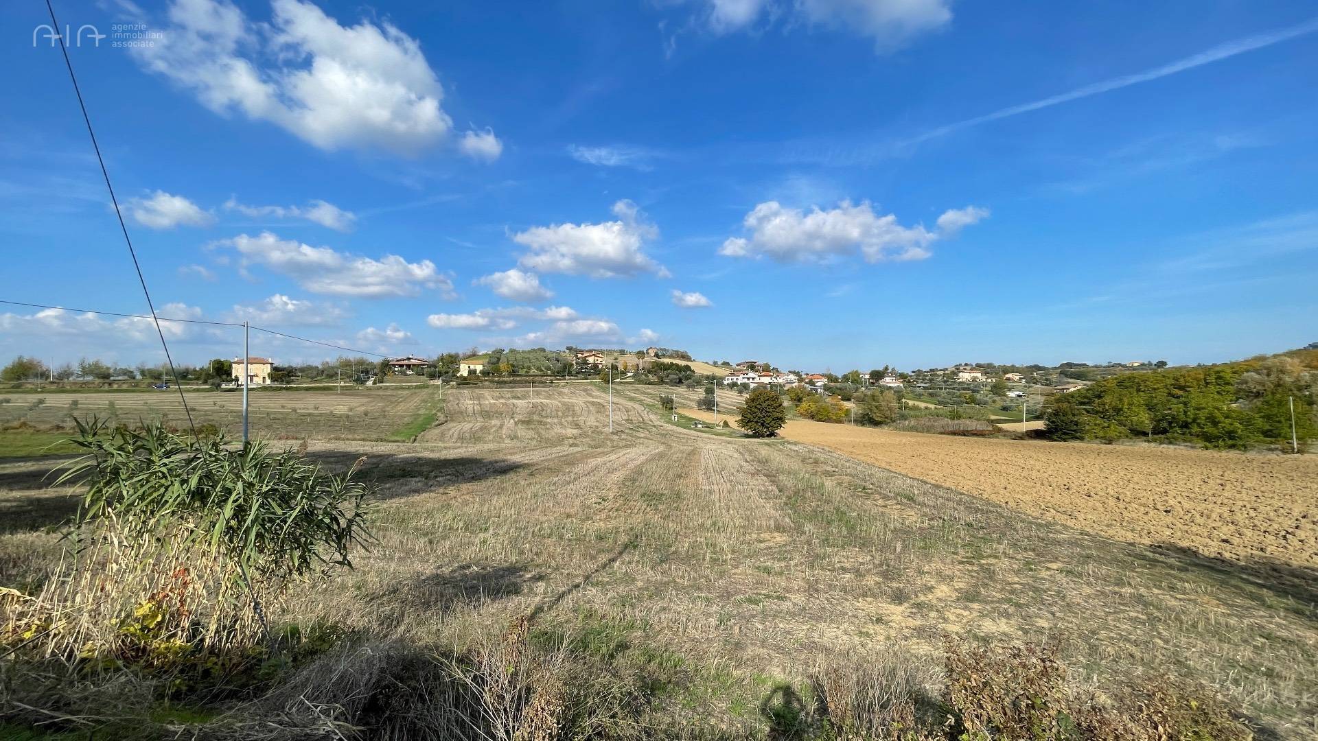 Terreno Agricolo (con / Senza Piccolo Prefabbricato) in vendita a Controguerra, Collinare