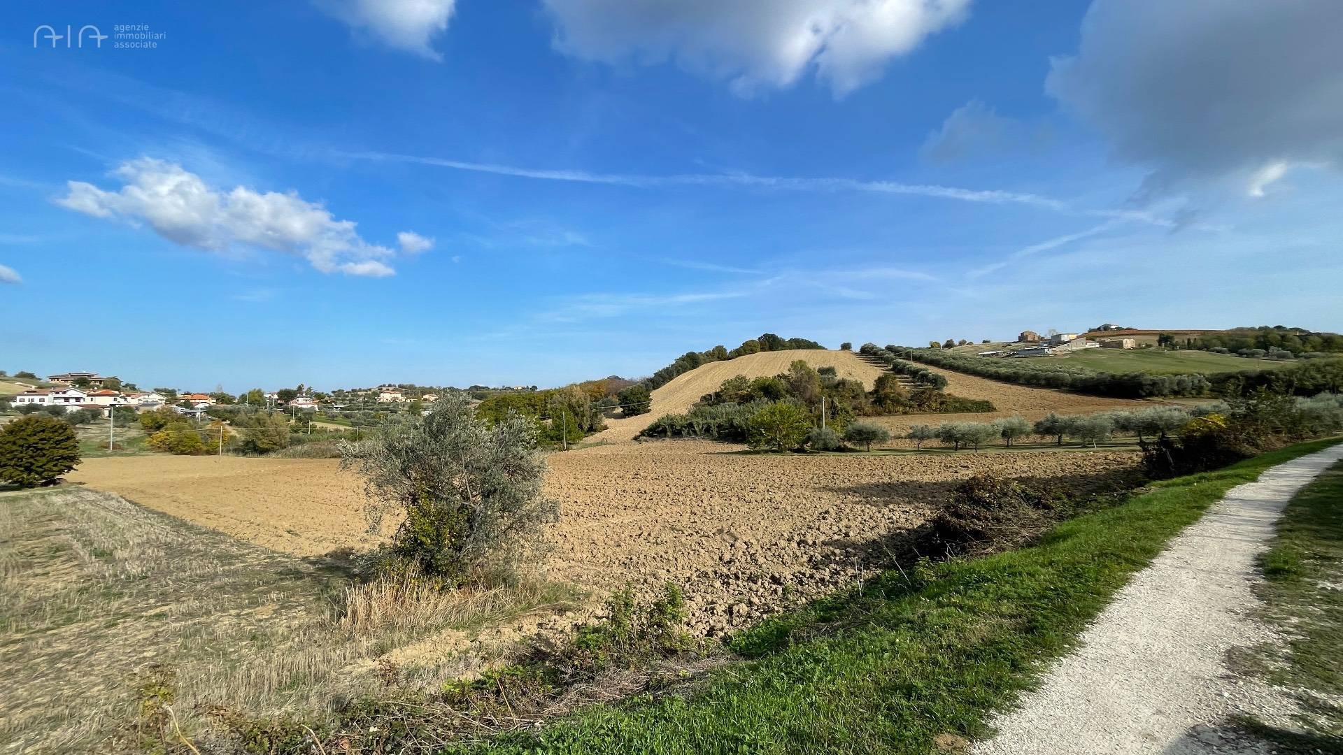 Terreno Agricolo (con / Senza Piccolo Prefabbricato) in vendita a Controguerra, Collinare