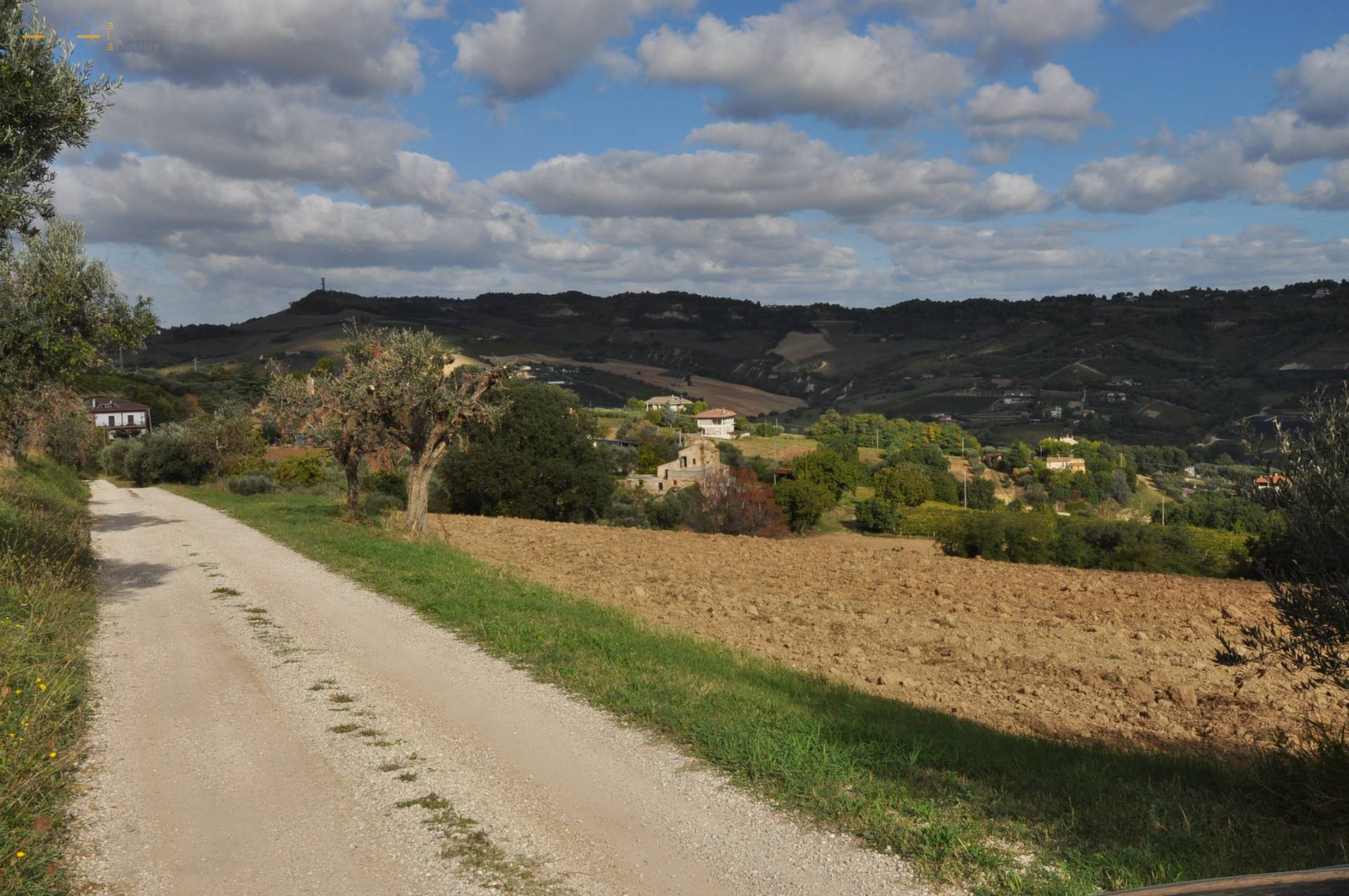 Casale Colonico Rustico in vendita a Acquaviva Picena, Collinare (esposizione verso il mare)