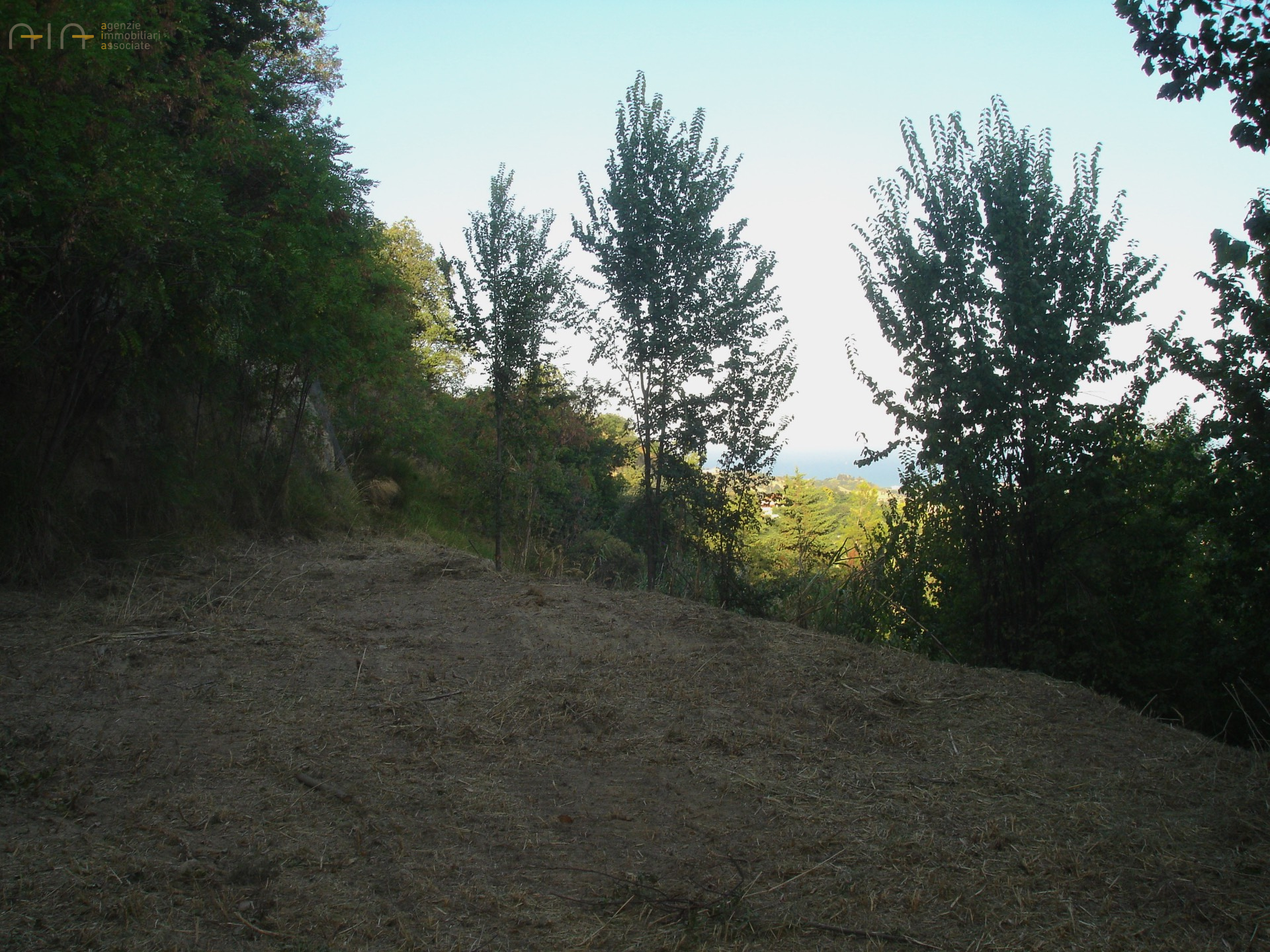 Casale Colonico Rustico in vendita a Montefiore dell'Aso