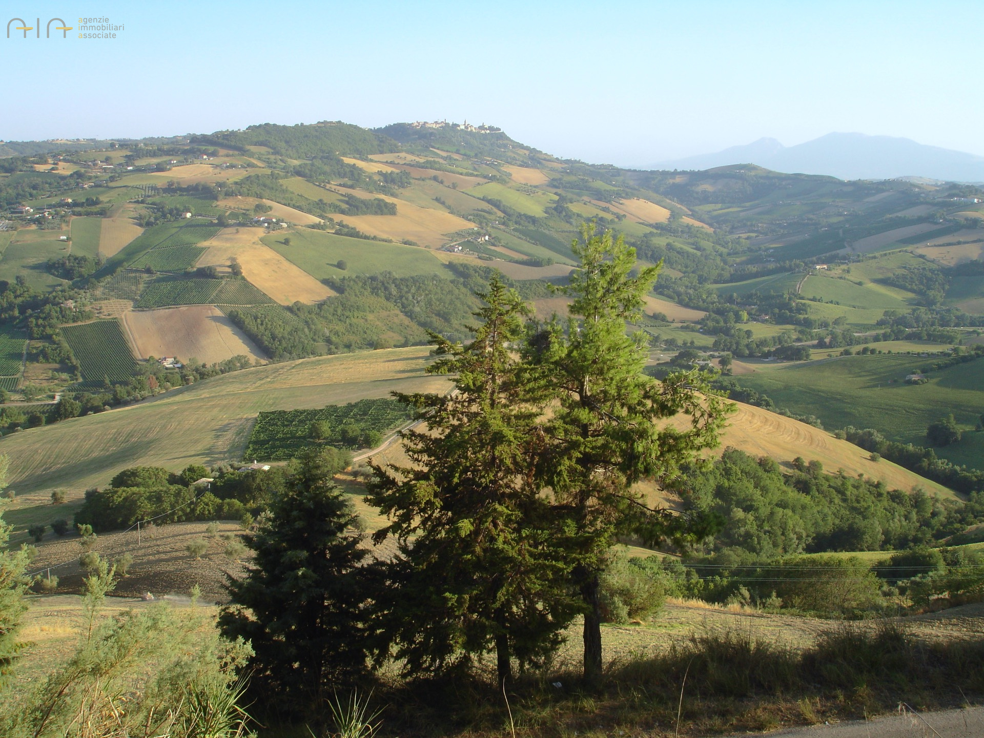 Casale Colonico Rustico in vendita a Montefiore dell'Aso