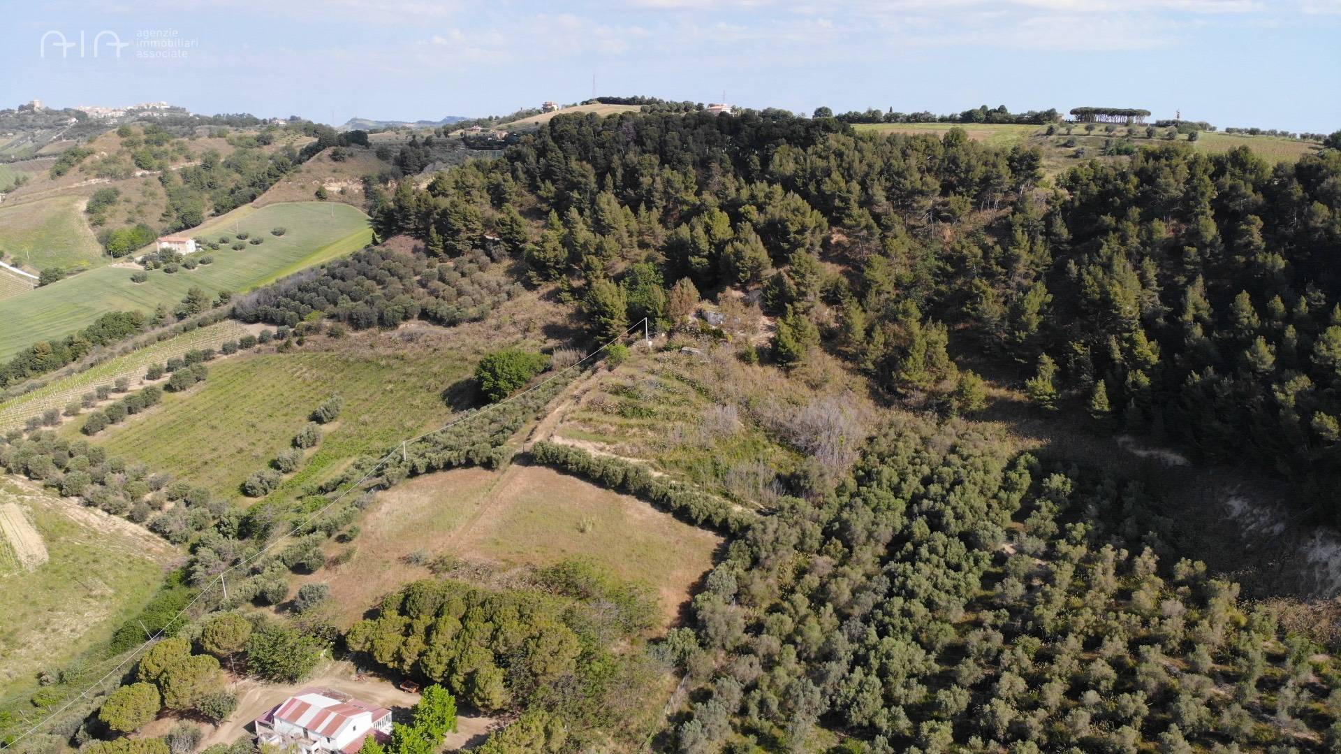 Terreno Agricolo (con / Senza Piccolo Prefabbricato) in vendita a Monteprandone