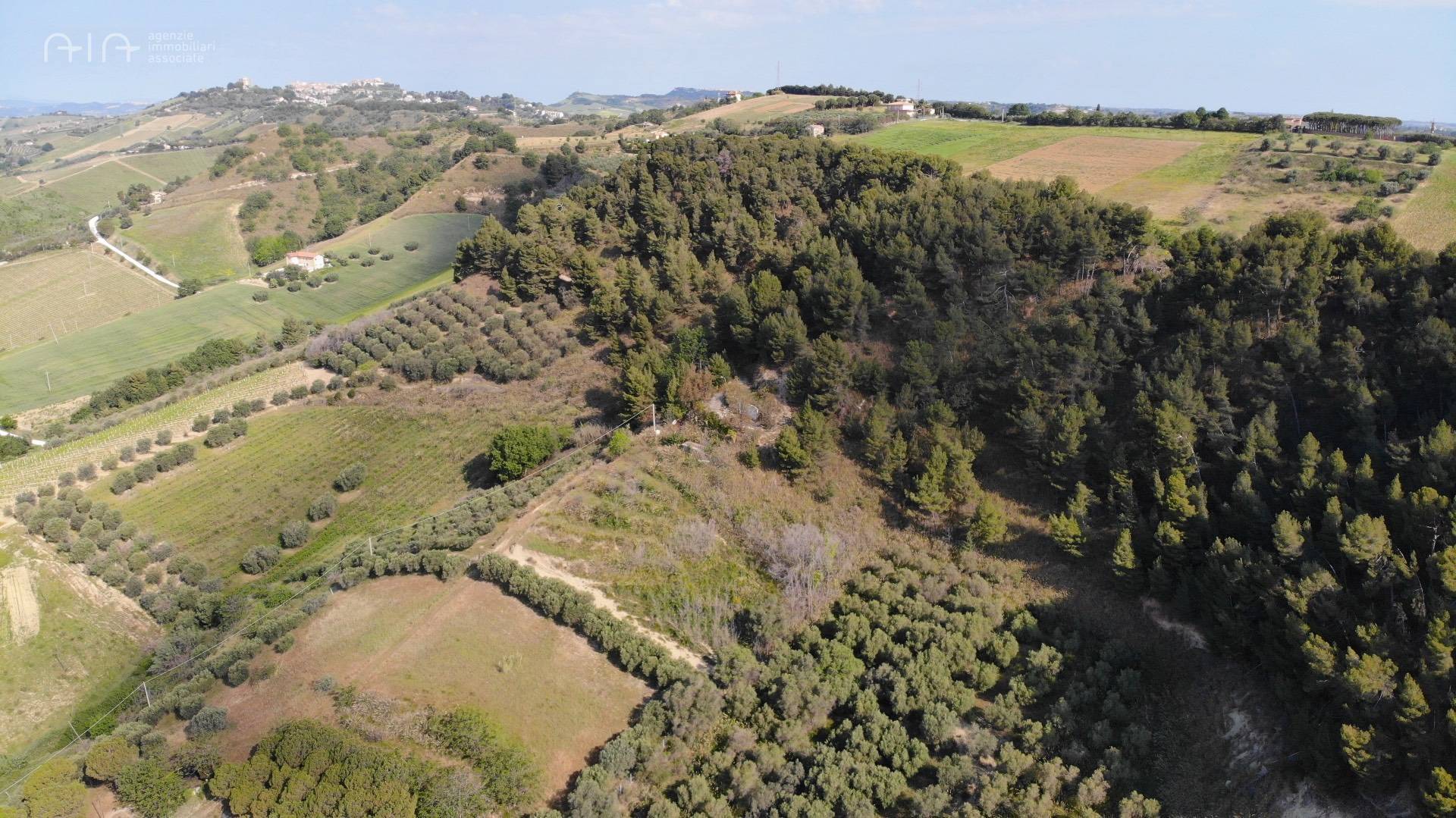 Terreno Agricolo (con / Senza Piccolo Prefabbricato) in vendita a Monteprandone