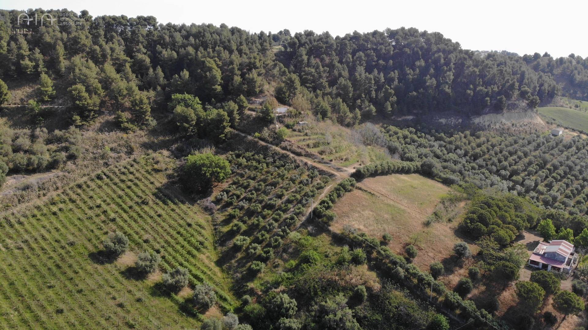 Terreno Agricolo (con / Senza Piccolo Prefabbricato) in vendita a Monteprandone